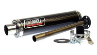 Silencieux arri&egrave;re Giannelli Carbon