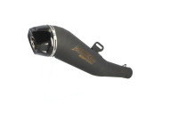 Syst&egrave;me d'&eacute;chappement Radical Racing GP Carbon FORCE Black Line