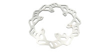 Disque de frein ZF Sprocket