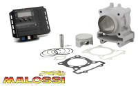 Kit cylindre 183 cm³ et boîtier électronique de tuning Malossi Kit cylindre 183 cm³ et boîtier électronique de tuning Malossi