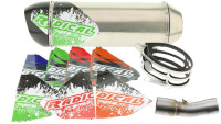 Silencieux arri&egrave;re Slip-On Radical Racing Inox