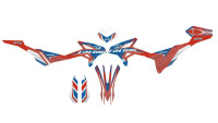 D&eacute;cor Radical Racing V2