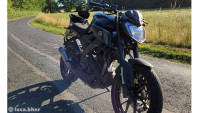 Système d'échappement Radical Racing GP Carbon Système d'échappement Radical Racing GP Carbon