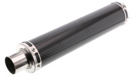 Silencieux arri&egrave;re Giannelli Carbon