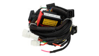 Module de chiptuning pour calculateur moteur Racedynamics Powertronic V4