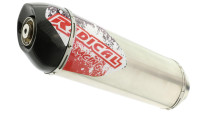 Silencieux arri&egrave;re Slip-On Radical Racing Inox