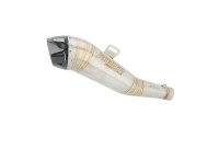 Système d'échappement Radical Racing GP Carbon FORCE Système d'échappement Radical Racing GP Carbon FORCE