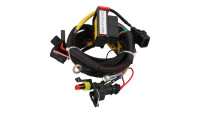 Module de chiptuning pour calculateur moteur Racedynamics Powertronic V4