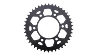 Pignon Radical