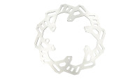 Disque de frein ZF Sprocket
