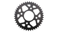 Pignon Radical