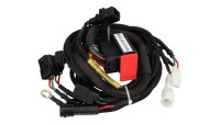 Module de chiptuning pour calculateur moteur Racedynamics Powertronic V4