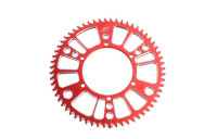 Pignon Radical Racing en aluminium
