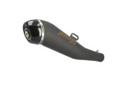 Syst&egrave;me d'&eacute;chappement Radical Racing GP Carbon Black Line