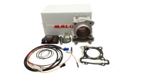 Kit de cylindres Malossi