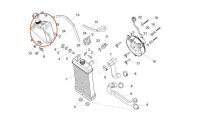 Réservoir de compensation pour le système de refroidissement Piaggio OEM Réservoir de compensation pour le système de refroidissement Piaggio OEM