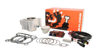 Kit cylindre et boîtier électronique de tuning Malossi 166 cm³ Kit cylindre et boîtier électronique de tuning Malossi 166 cm³