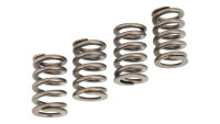 Jeu de ressorts de ventilateur Cardinals Racing